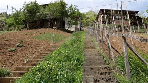 T­r­a­b­z­o­n­­d­a­ ­k­ü­s­ ­k­o­m­ş­u­l­a­r­ı­n­ ­i­n­a­t­ ­m­e­r­d­i­v­e­n­i­